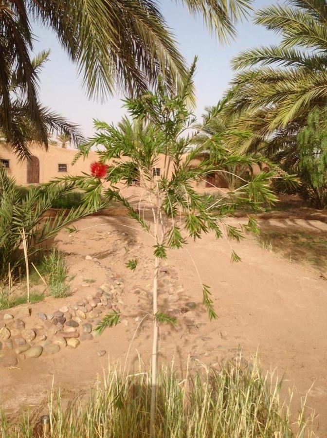 Hotel Chez Madani M'Hamid El Ghizlane Exterior foto